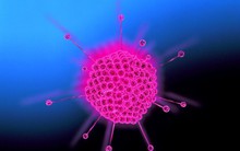 Một sinh viên tử vong vì nhiễm Adenovirus, cảnh báo mọi người không được chủ quan với bệnh cảm lạnh