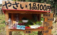 4 khoảnh khắc rất đỗi đời thường nhưng đủ để thấy người Nhật hiếu khách nhất quả đất luôn