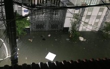 Ảnh: Mưa ngập diện rộng, dân TP.HCM trắng đêm tát nước chống lụt