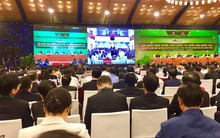 Thu nhập người dân nông thôn tăng gấp 3,5 lần trong 10 năm