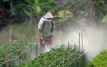 Việt Nam nằm trong nhóm nước bị cảnh báo về tồn dư thuốc BVTV