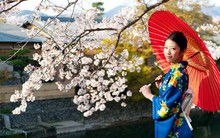 Giới nhà giàu Nhật Bản nắm lượng tài sản lớn nhất khu vực