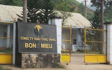 Vàng Bồng Miêu chính thức phá sản, để lại số nợ gần 1.000 tỉ đồng