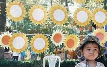 Bị hoài nghi, nhà tài trợ góp 5 tỷ đồng cho hơn 300.000 hoa hướng dương trên FB nói: "Trong thể lệ không yêu cầu nhắc tên doanh nghiệp"