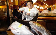 Đây là lý do tại sao con cá ngừ vây xanh này được bán với giá trên trời 1,8 triệu USD