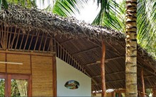 Khởi nghiệp với du lịch homestay: Nhiều bạn trẻ “thắng đậm” nhờ bí quyết này!