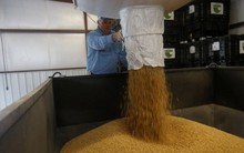 Trung Quốc vừa mua hơn 1 triệu tấn đậu tương Mỹ