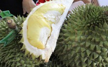 Tin vui: Sầu riêng và khoai lang được xuất khẩu sang Trung Quốc