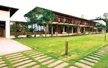 Hà Nội tạm dừng cưỡng chế 18 công trình vi phạm đất rừng Sóc Sơn trong tháng 11