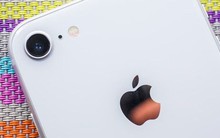 Thua kiện Qualcomm, Apple bị cấm bán điện thoại iPhone ở Đức