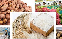 Xuất khẩu nông sản Việt Nam năm 2018 vượt kỷ lục 40 tỷ USD