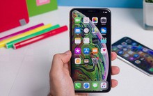 Nhiều iPhone trên toàn thế giới gặp lỗi mất kết nối di động sau khi cập nhật iOS 12.1.2