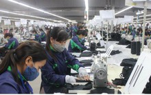 Thưởng Tết Nguyên đán Kỷ Hợi 2019 cao hơn năm trước?