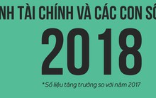 [Infographic] Ngành tài chính và các con số nổi bật năm 2018