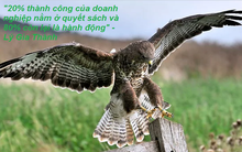 Chuyện cuối tuần: 14 nguyên tắc quản lý của Henry Fayol - Đừng làm nhiều hơn mà nên làm thông minh hơn