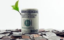 Đấu giá cổ phần năm 2017: Hoạt động thoái vốn "lên ngôi"