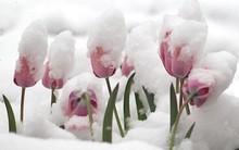 7 lời dối lòng mà các fan cuồng tiền số thường mắc phải