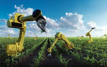 Nông nghiệp Việt Nam hưởng lợi gì từ trí tuệ nhân tạo và dữ liệu mở?