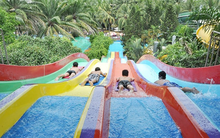 Công viên nước Đầm Sen (DSN) báo lãi 96 tỷ đồng năm 2018, chia cổ tức tỷ lệ 65%