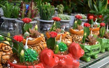 Chạy “nước rút” cho mùa hoa Tết