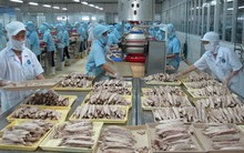 Triển vọng xuất khẩu tôm, cá tra năm 2019