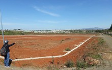 Phân lô, bán nền tại Gia Lai: Kiểm tra dấu hiệu vi phạm của Bí thư và Chủ tịch phường Thắng Lợi