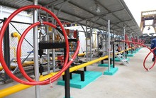 Lãi lớn năm 2018, PGD vẫn dè dặt đặt mục tiêu lãi sau thuế gần 190 tỷ đồng năm 2019