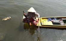 Cận cảnh "đội quân" ngang nhiên chích điện, bắt cá phóng sinh ngay trước mặt người thả