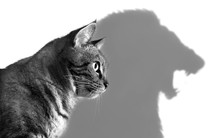 Không làm nổi việc lớn, lòng tự trọng có đáng giá hay không? Sống ở đời, tự hạ mình xuống mới được tôn lên!