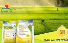 Chậm chuyển sàn HoSE, đại diện Lộc Trời nói gì?