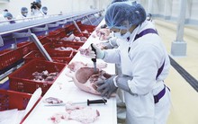 Những nhà máy chế biến hiện đại nhất Việt Nam và câu chuyện đầu ra cho ngành nông nghiệp