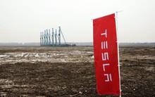 Elon Musk nhìn thấy tương lai của Tesla trong một bãi sình lầy ở Trung Quốc