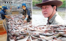 Thuỷ sản Hùng Vương (HVG): Công ty mẹ báo lỗ 189 tỷ đồng niên độ 2018-2019