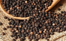 Một công ty Việt bị lừa hơn 61.000 USD tại Senegal