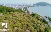 Bà Rịa - Vũng Tàu chỉ đạo khẩn vụ dự án lấn biển Vũng Tàu làm thủy cung