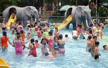 Công viên nước Đầm Sen ước lãi trước thuế 112 tỷ đồng cả năm 2019