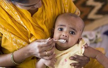 95% thực phẩm dành cho trẻ em được thử nghiệm ở Mỹ có chứa kim loại độc hại