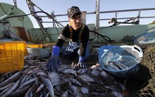 Ngay cả Nhật Bản cũng chật vật với xử lý ô nhiễm nước