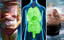 7 lợi ích không ngờ của bơi lội mà không phải ai cũng biết: Từ bà bầu cho đến nhân viên công sở ai cũng cần phải thử