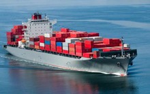 Doanh nghiệp thủy sản khó khăn hơn khi cước phí vận chuyển tàu biển tăng 30%
