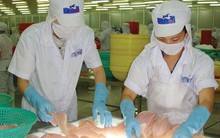 Cổ phiếu tăng 53% sau 2 tuần, Thủy sản Hùng Vương báo lỗ hợp nhất 242 tỷ đồng trong quý 4 niên độ tài chính