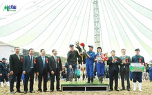 GTNfoods (GTN) doanh thu mảng sữa tăng trưởng trở lại, lãi quý 3 giảm nhẹ so với cùng kỳ