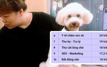 "Cắt lông chó" - nghề siêu hot lọt top 10 công việc có lương cao nhất ở Việt Nam, kiếm hơn 18 triệu đồng/tháng nhàn như chơi, liệu sự thật như thế nào?