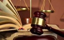 Những chính sách mới có hiệu lực từ tháng 11/2019