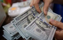 NHNN tiếp tục mua vào ngoại tệ trong tuần đầu tháng 11