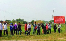 Cẩn trọng với dự án bất động sản “ma” ngày càng hoành hành, giăng bẫy nhà đầu tư