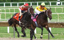 Vì sao Đà Nẵng muốn xây trường đua ngựa 200 triệu USD?