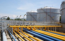 Cổ phiếu PTV giảm sâu 32% sau 10 ngày lên sàn, HDBank ủy thác toàn bộ 2,2 triệu cổ phiếu