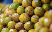 Nhiều đặc sản Hòa Bình đổ về Hà Nội