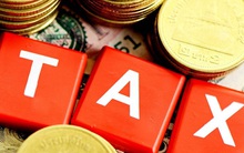 Lideco (NTL) bị truy thu và phạt hơn 2,3 tỷ đồng tiền thuế